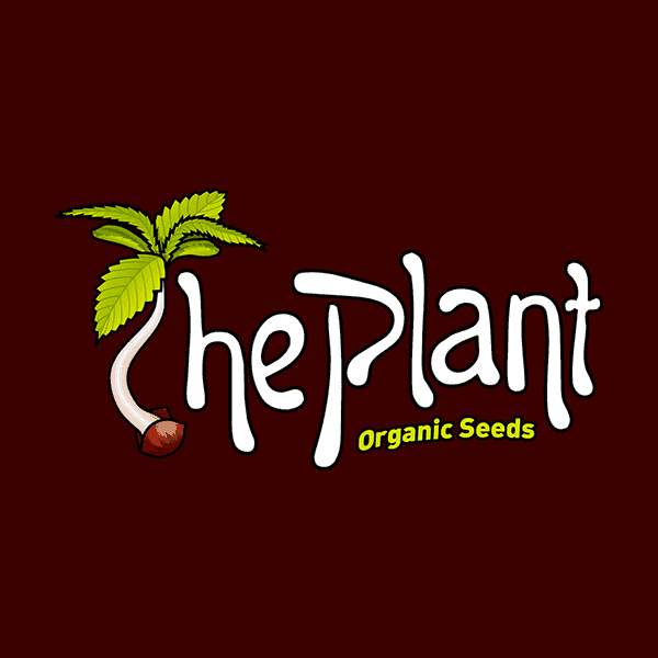 The Plant Organic Seeds