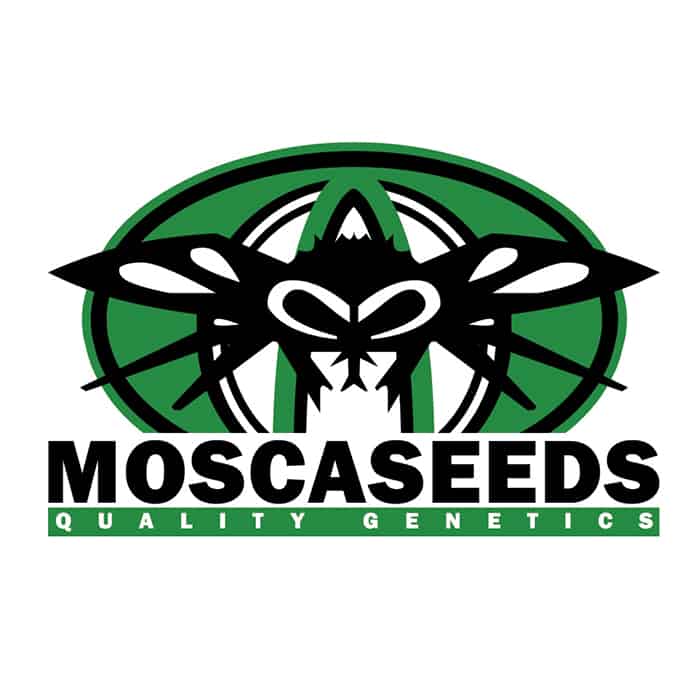 Mosca Seeds