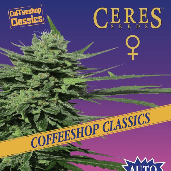 Auto Lemonesia Cannabis Seeds - Ceres Seeds