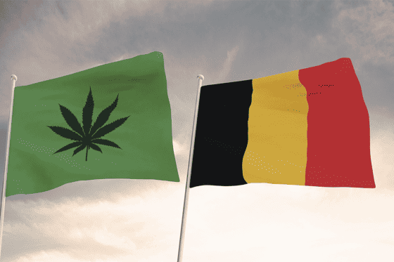 Is Cannabis Legal In Belgium?