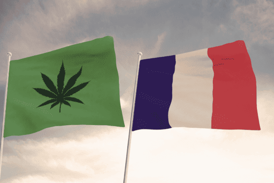 Is Cannabis Legal In France?