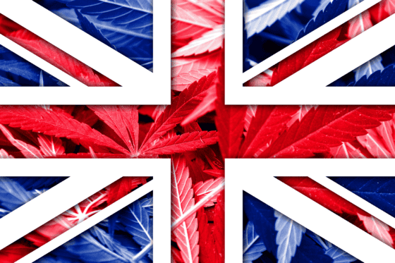 Popular UK Cannabis Strains